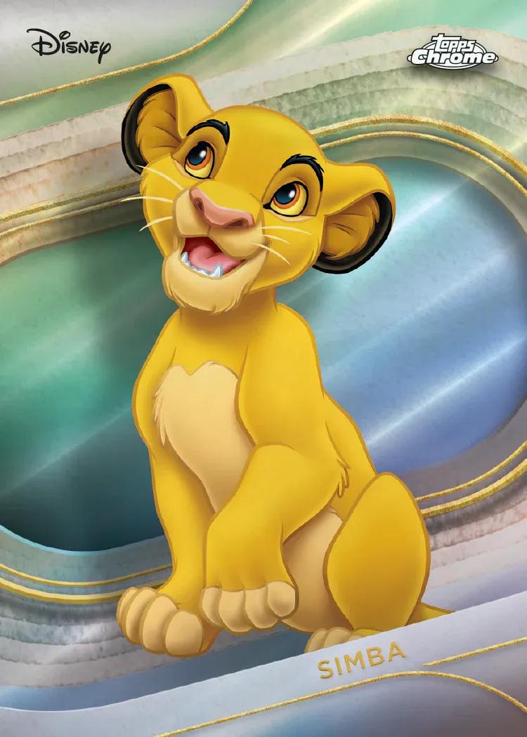 Produkto nuotrauka 4