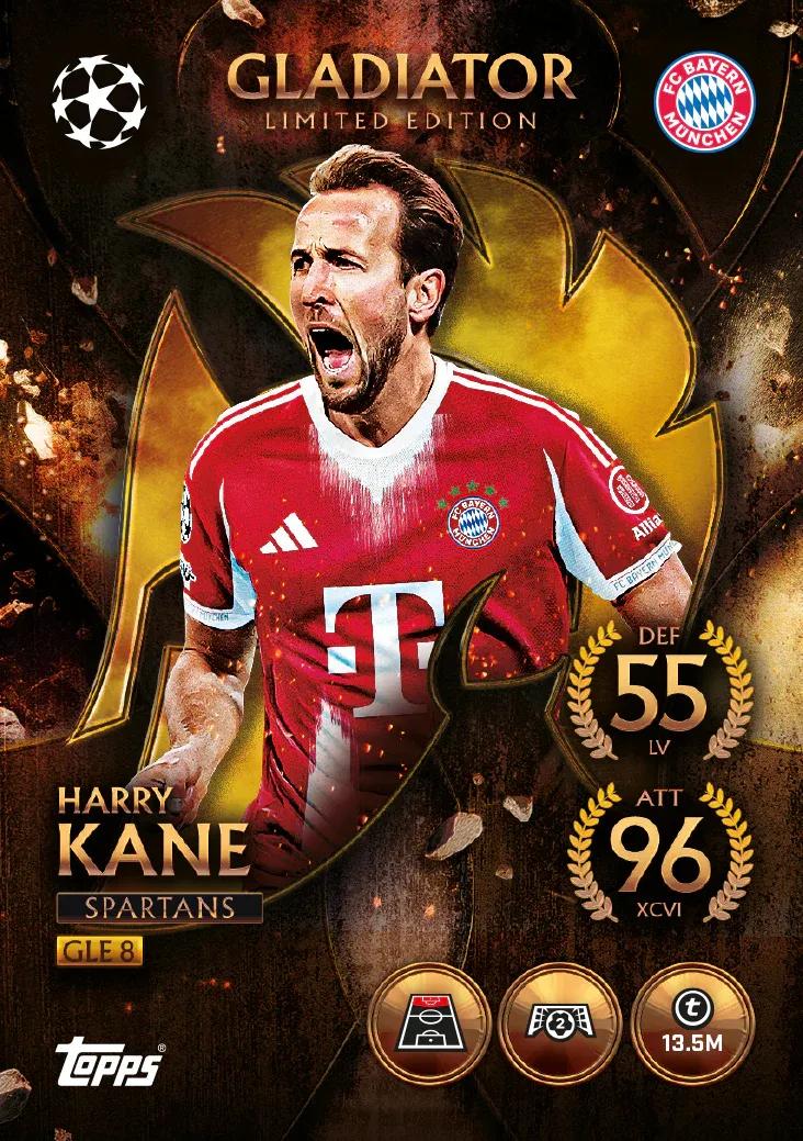 Produkto nuotrauka 3